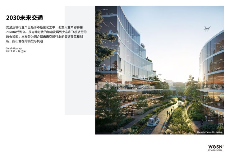 2030未来交通_cs.pdf