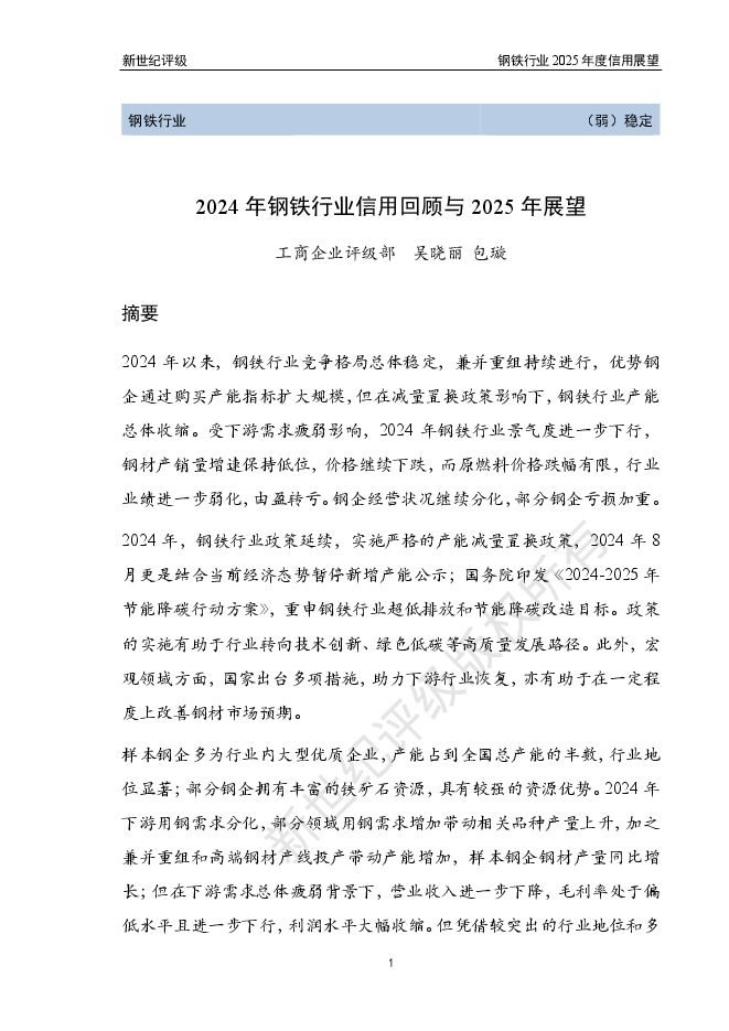2024年钢铁行业信用回顾与2025年展望.pdf 2024年钢铁行业信用回顾与2025年展望.pdf