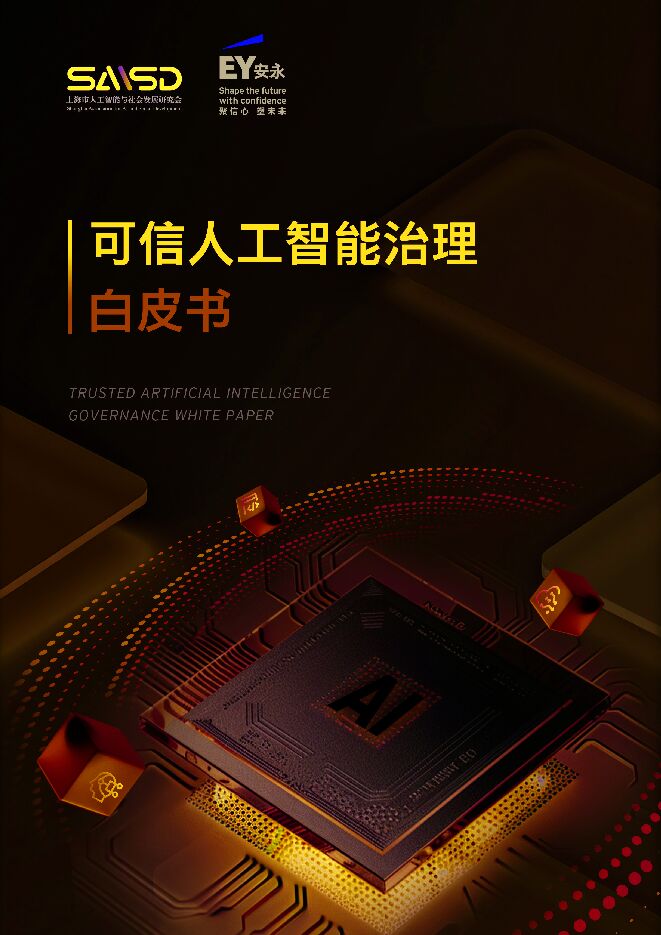 2025可信人工智能治理白皮书.pdf 2025可信人工智能治理白皮书.pdf