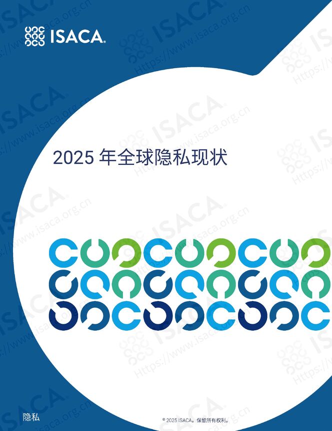 2025年全球隐私现状报告.pdf 2025年全球隐私现状报告.pdf