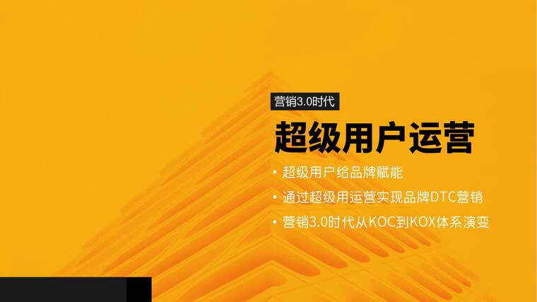 营销3.0时代：超级用户运营——从KOC到KOX.pdf